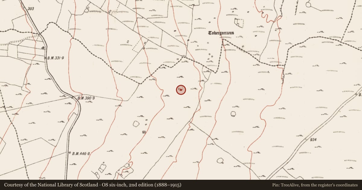 Ordnance Survey six-inch map, 2nd edition (1888–1915) covering the location of Ringfort - cashel, Ballyelly, County Clare, with a pin at the register's coordinates