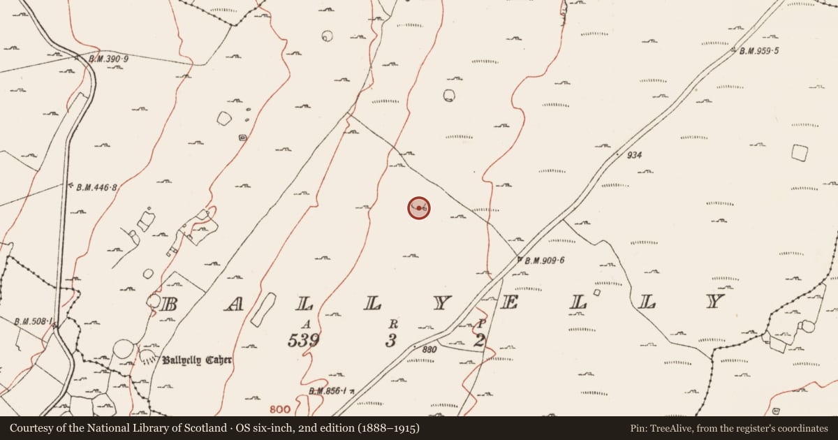 Ordnance Survey six-inch map, 2nd edition (1888–1915) covering the location of Ringfort - cashel, Ballyelly, County Clare, with a pin at the register's coordinates