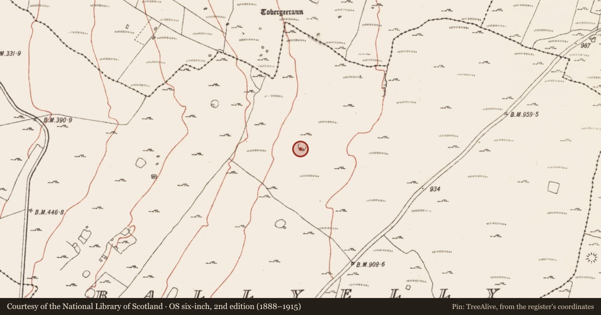 Ordnance Survey six-inch map, 2nd edition (1888–1915) covering the location of Ringfort - cashel, Ballyelly, County Clare, with a pin at the register's coordinates