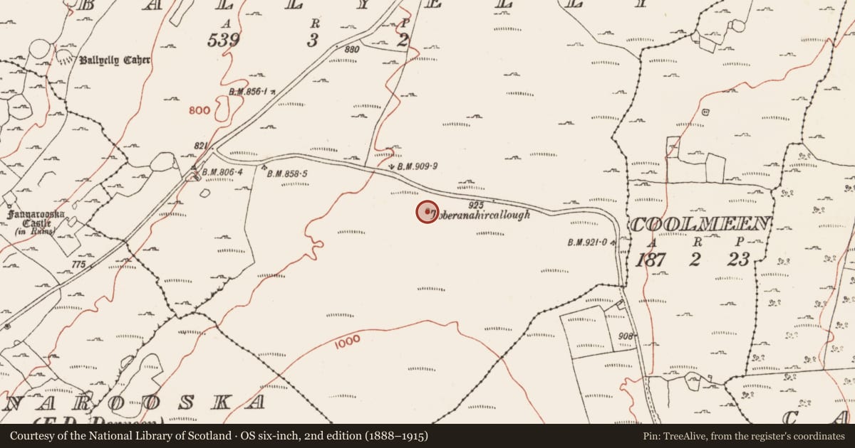 Ordnance Survey six-inch map, 2nd edition (1888–1915) covering the location of Ritual site - holy well, Ballyelly, County Clare, with a pin at the register's coordinates