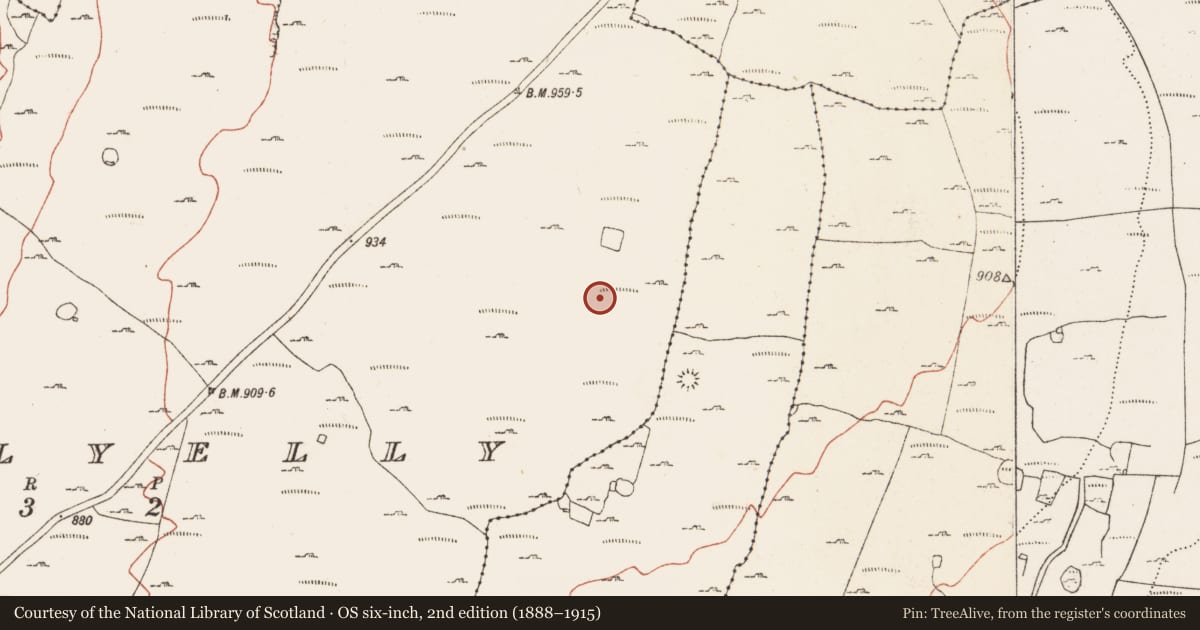 Ordnance Survey six-inch map, 2nd edition (1888–1915) covering the location of Ringfort - cashel, Ballyelly, County Clare, with a pin at the register's coordinates