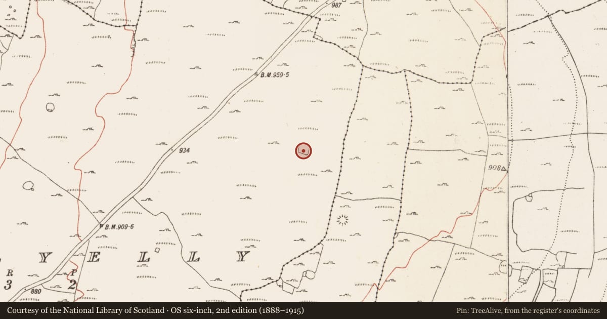 Ordnance Survey six-inch map, 2nd edition (1888–1915) covering the location of Ringfort - cashel, Ballyelly, County Clare, with a pin at the register's coordinates