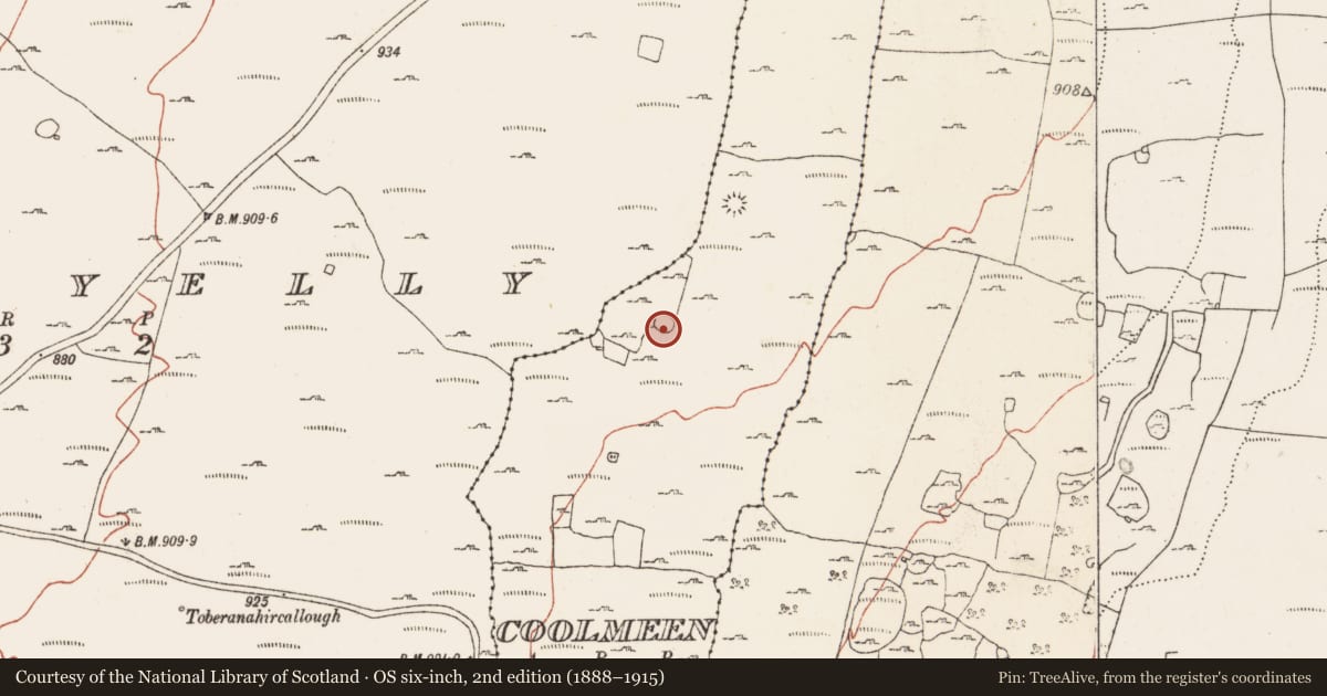 Ordnance Survey six-inch map, 2nd edition (1888–1915) covering the location of Ringfort - cashel, Coolmeen, County Clare, with a pin at the register's coordinates