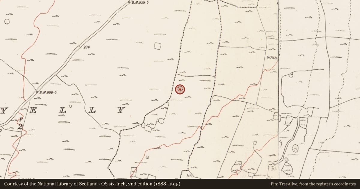 Ordnance Survey six-inch map, 2nd edition (1888–1915) covering the location of Ringfort - cashel, Coolmeen, County Clare, with a pin at the register's coordinates