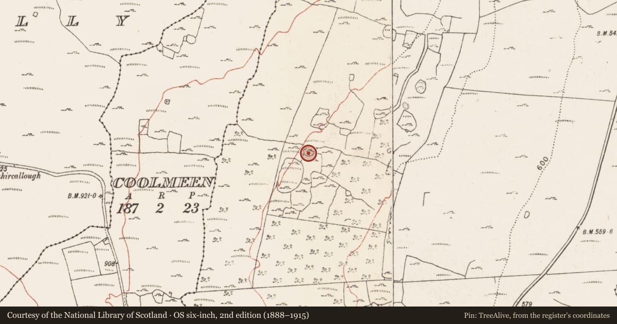 Ordnance Survey six-inch map, 2nd edition (1888–1915) covering the location of Ringfort - cashel, Caherbullog, County Clare, with a pin at the register's coordinates