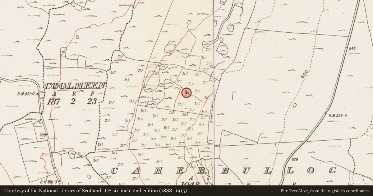 Ordnance Survey six-inch map, 2nd edition (1888–1915) covering the location of Enclosure, Caherbullog, County Clare, with a pin at the register's coordinates