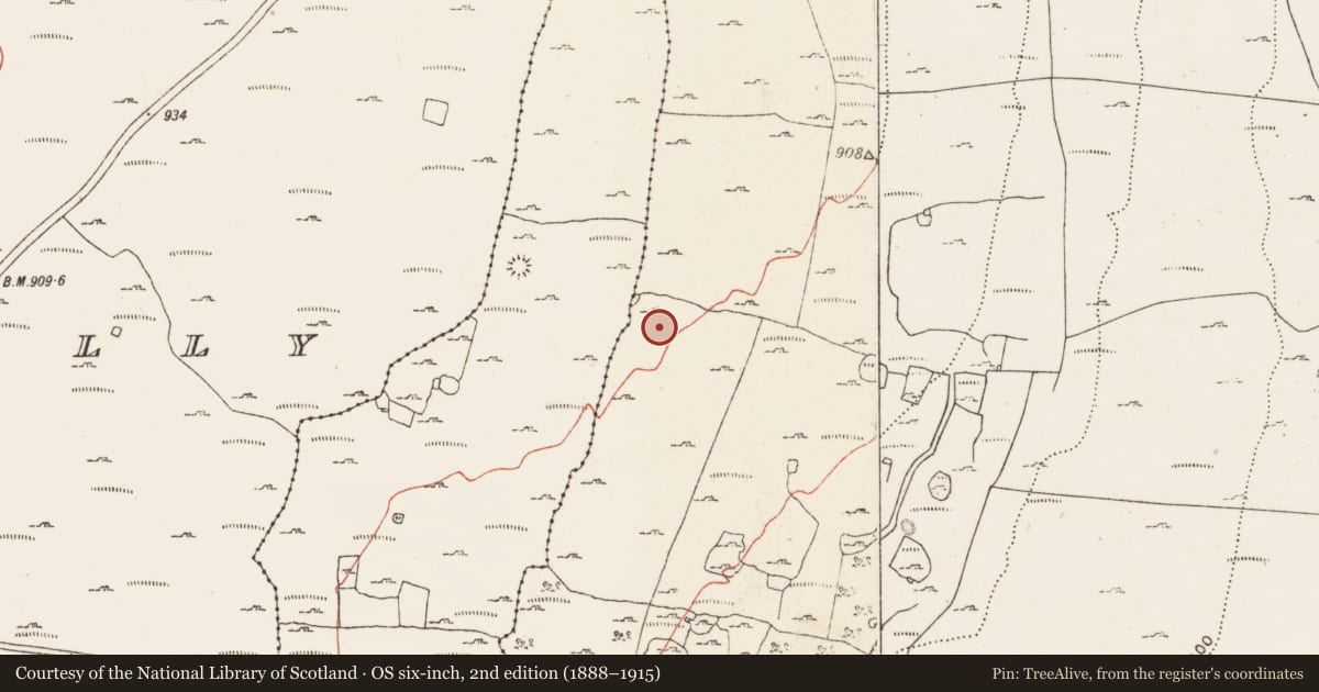 Ordnance Survey six-inch map, 2nd edition (1888–1915) covering the location of Enclosure, Caherbullog, County Clare, with a pin at the register's coordinates