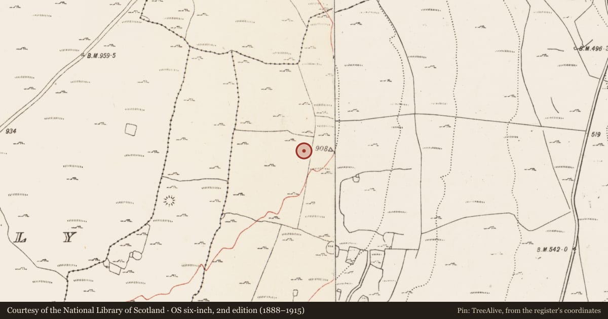 Ordnance Survey six-inch map, 2nd edition (1888–1915) covering the location of Enclosure, Caherbullog, County Clare, with a pin at the register's coordinates