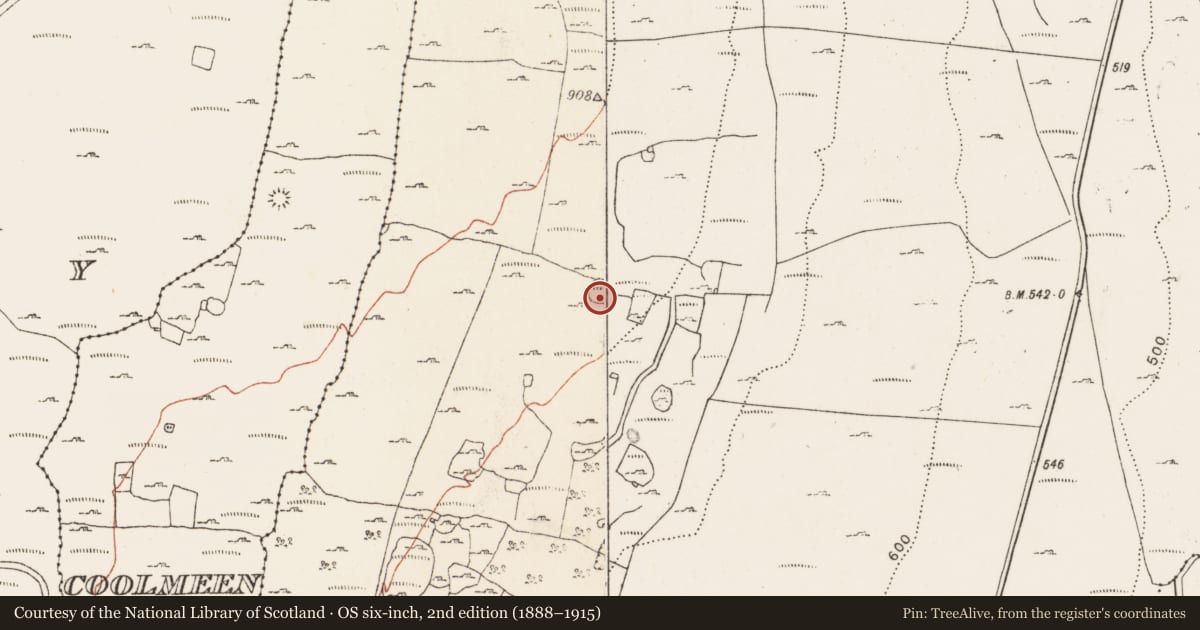 Ordnance Survey six-inch map, 2nd edition (1888–1915) covering the location of Ringfort - cashel, Caherbullog, County Clare, with a pin at the register's coordinates