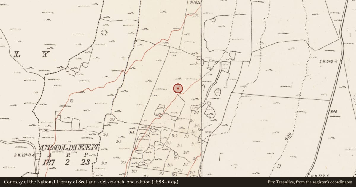 Ordnance Survey six-inch map, 2nd edition (1888–1915) covering the location of Enclosure, Caherbullog, County Clare, with a pin at the register's coordinates