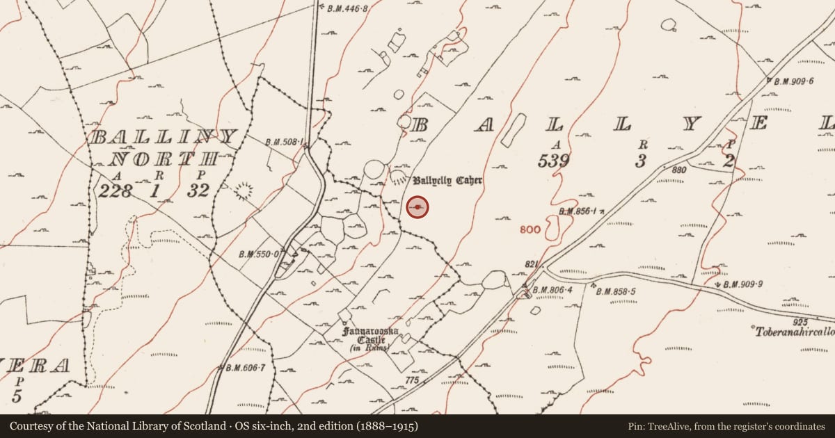 Ordnance Survey six-inch map, 2nd edition (1888–1915) covering the location of Hut site, Ballyelly, County Clare, with a pin at the register's coordinates
