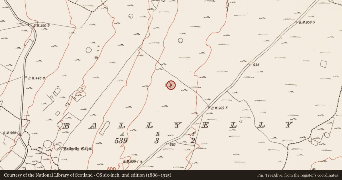 Ordnance Survey six-inch map, 2nd edition (1888–1915) covering the location of Hut site, Ballyelly, County Clare, with a pin at the register's coordinates