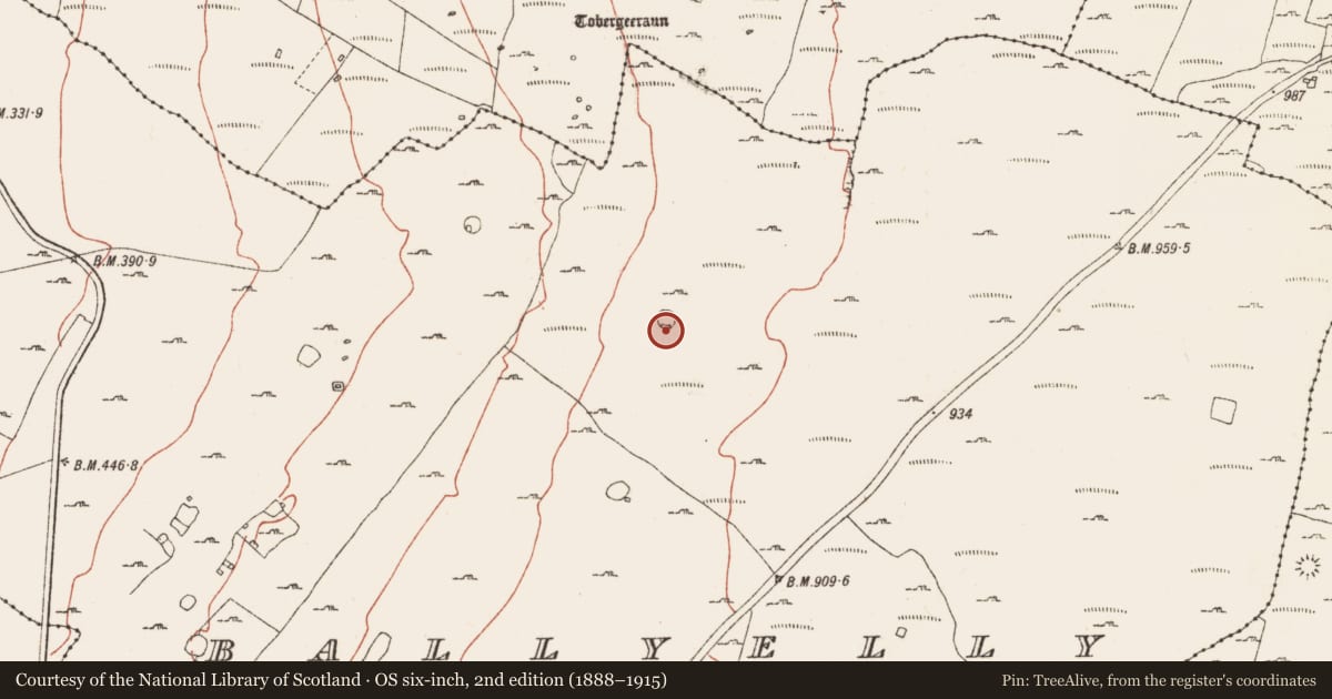 Ordnance Survey six-inch map, 2nd edition (1888–1915) covering the location of House - indeterminate date, Ballyelly, County Clare, with a pin at the register's coordinates