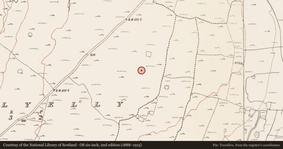 Ordnance Survey six-inch map, 2nd edition (1888–1915) covering the location of Hut site, Ballyelly, County Clare, with a pin at the register's coordinates