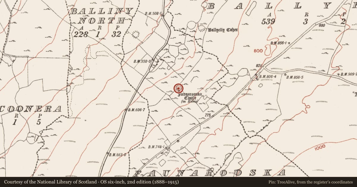 Ordnance Survey six-inch map, 2nd edition (1888–1915) covering the location of Ringfort - cashel, Faunarooska, County Clare, with a pin at the register's coordinates