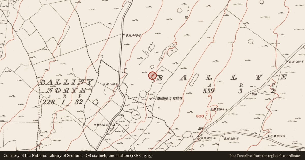 Ordnance Survey six-inch map, 2nd edition (1888–1915) covering the location of House - indeterminate date, Ballyelly, County Clare, with a pin at the register's coordinates