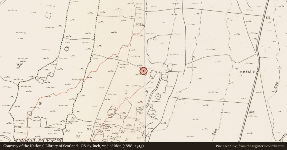 Ordnance Survey six-inch map, 2nd edition (1888–1915) covering the location of Souterrain, Caherbullog, County Clare, with a pin at the register's coordinates