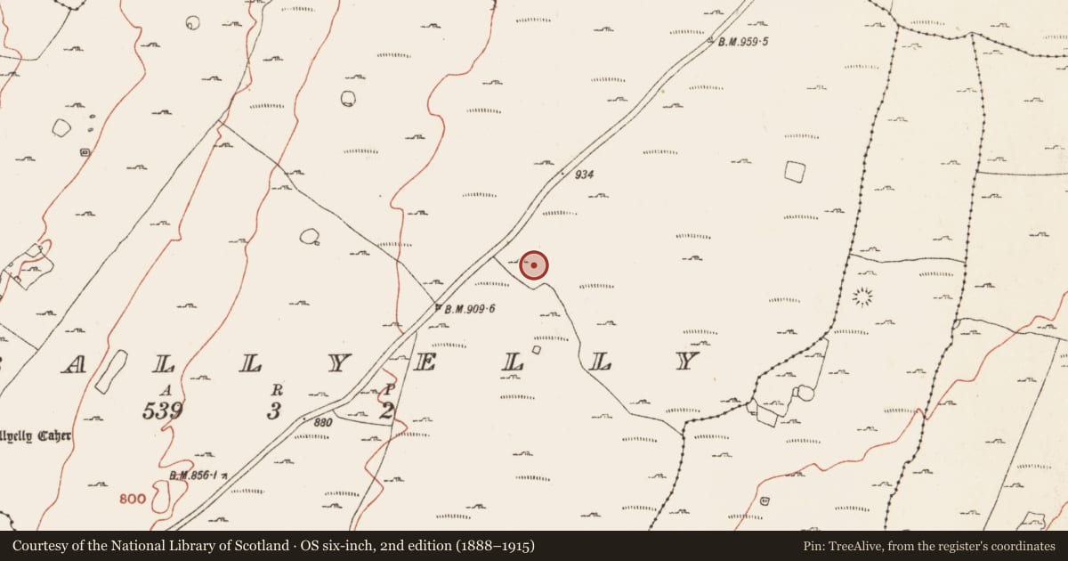 Ordnance Survey six-inch map, 2nd edition (1888–1915) covering the location of Megalithic tomb - wedge tomb, Ballyelly, County Clare, with a pin at the register's coordinates