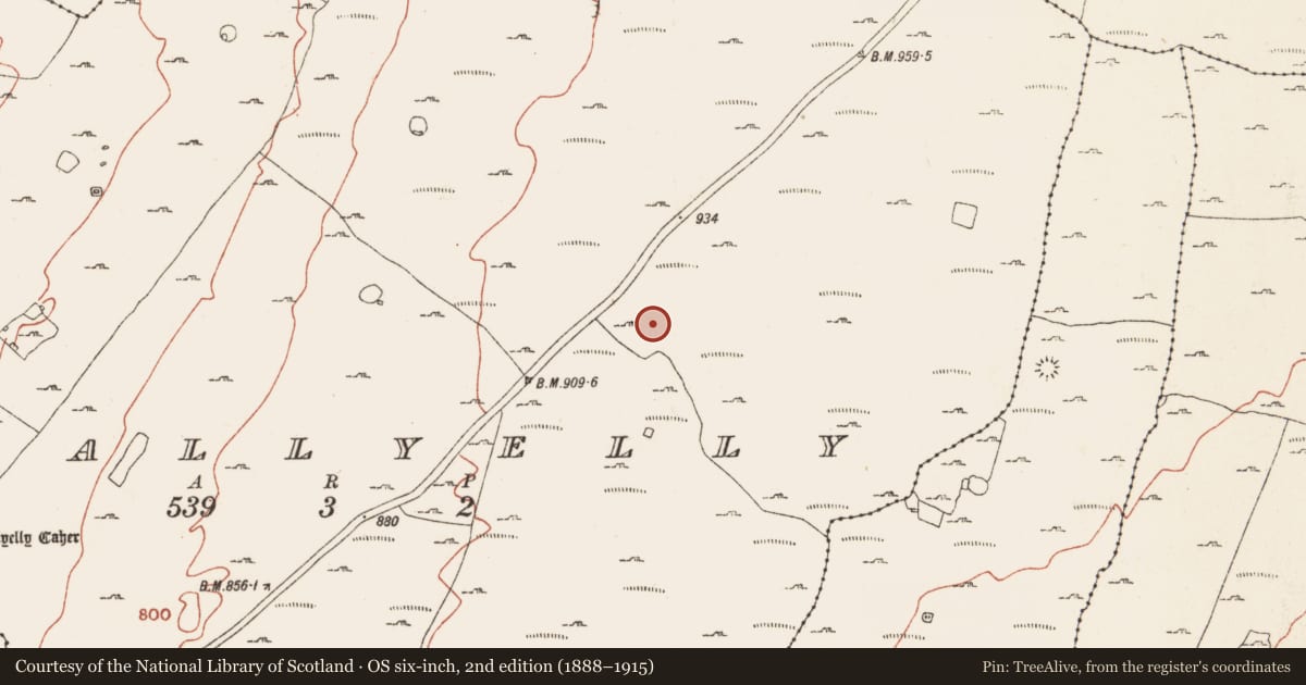 Ordnance Survey six-inch map, 2nd edition (1888–1915) covering the location of Hut site, Ballyelly, County Clare, with a pin at the register's coordinates