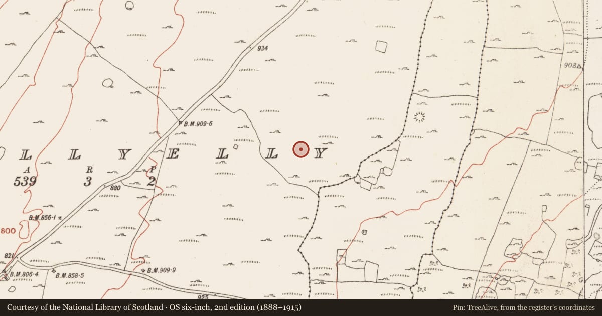 Ordnance Survey six-inch map, 2nd edition (1888–1915) covering the location of Clochan, Ballyelly, County Clare, with a pin at the register's coordinates