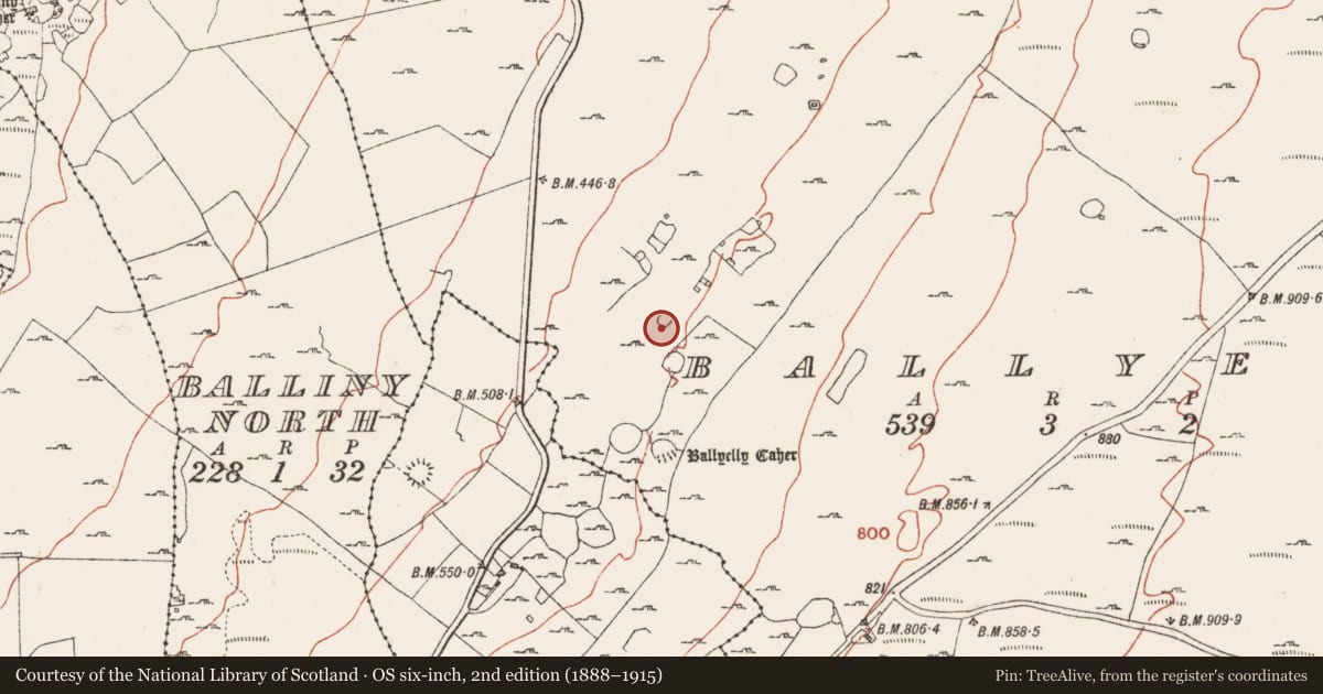 Ordnance Survey six-inch map, 2nd edition (1888–1915) covering the location of House - indeterminate date, Ballyelly, County Clare, with a pin at the register's coordinates