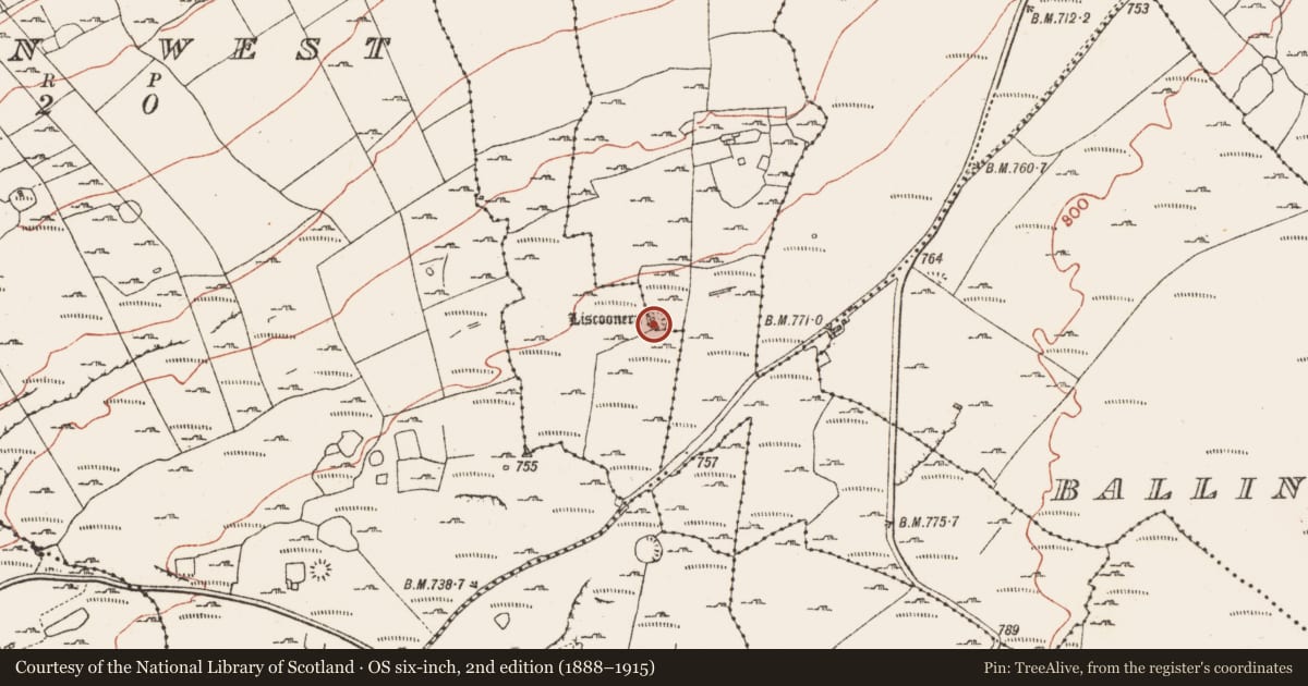 Ordnance Survey six-inch map, 2nd edition (1888–1915) covering the location of Ringfort - cashel, Derreen East, Liscoonera, County Clare, with a pin at the register's coordinates