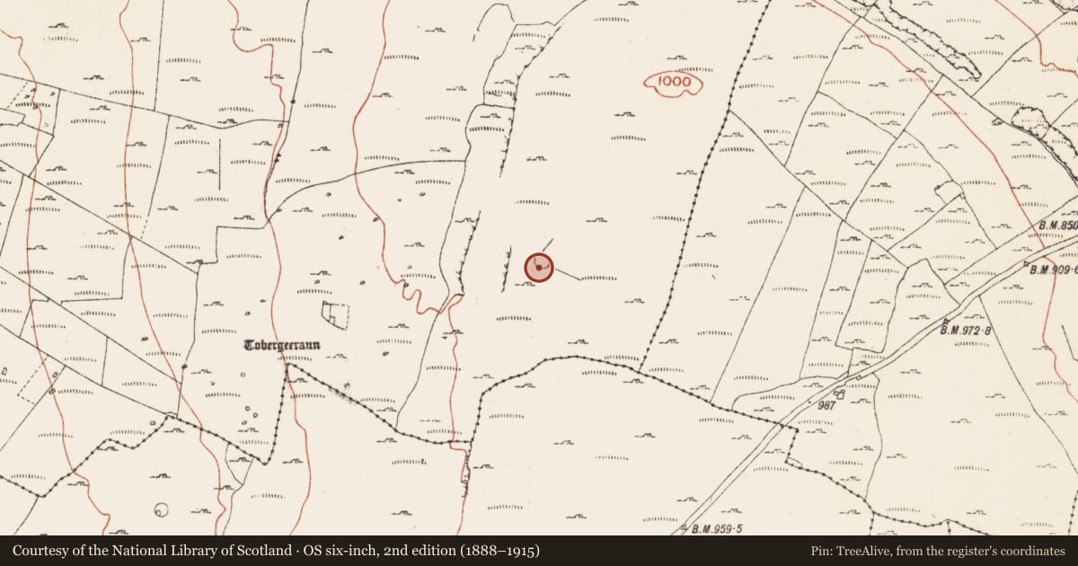 Ordnance Survey six-inch map, 2nd edition (1888–1915) covering the location of Ringfort - cashel, Fanore More, County Clare, with a pin at the register's coordinates
