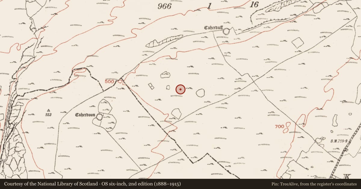 Ordnance Survey six-inch map, 2nd edition (1888–1915) covering the location of Field system, Ballynahown, Crumlin, County Clare, with a pin at the register's coordinates