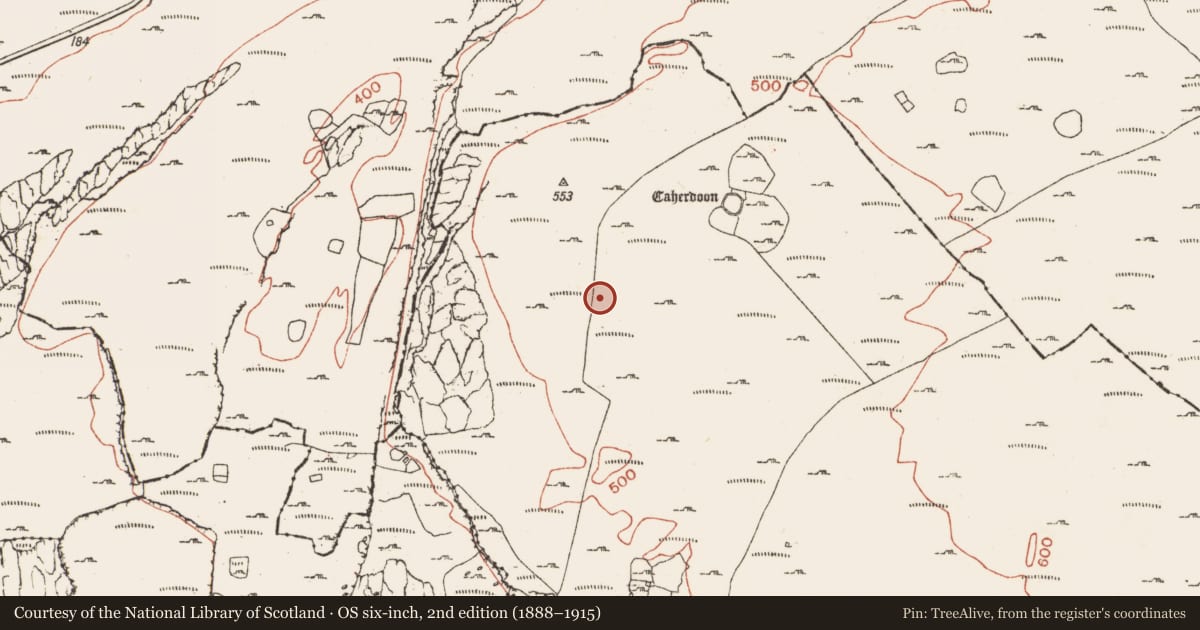 Ordnance Survey six-inch map, 2nd edition (1888–1915) covering the location of Enclosure, Ballynahown, County Clare, with a pin at the register's coordinates
