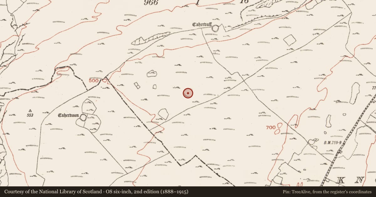 Ordnance Survey six-inch map, 2nd edition (1888–1915) covering the location of Enclosure, Crumlin, County Clare, with a pin at the register's coordinates