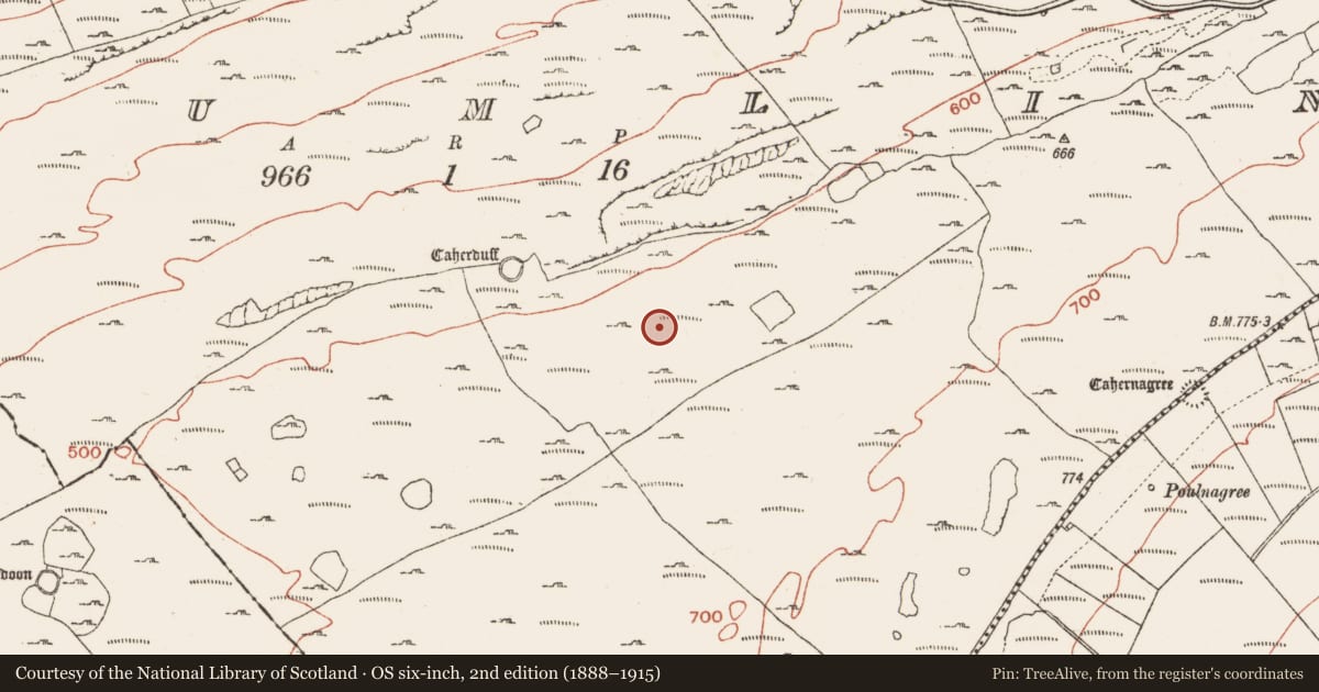 Ordnance Survey six-inch map, 2nd edition (1888–1915) covering the location of Booley hut, Crumlin, County Clare, with a pin at the register's coordinates