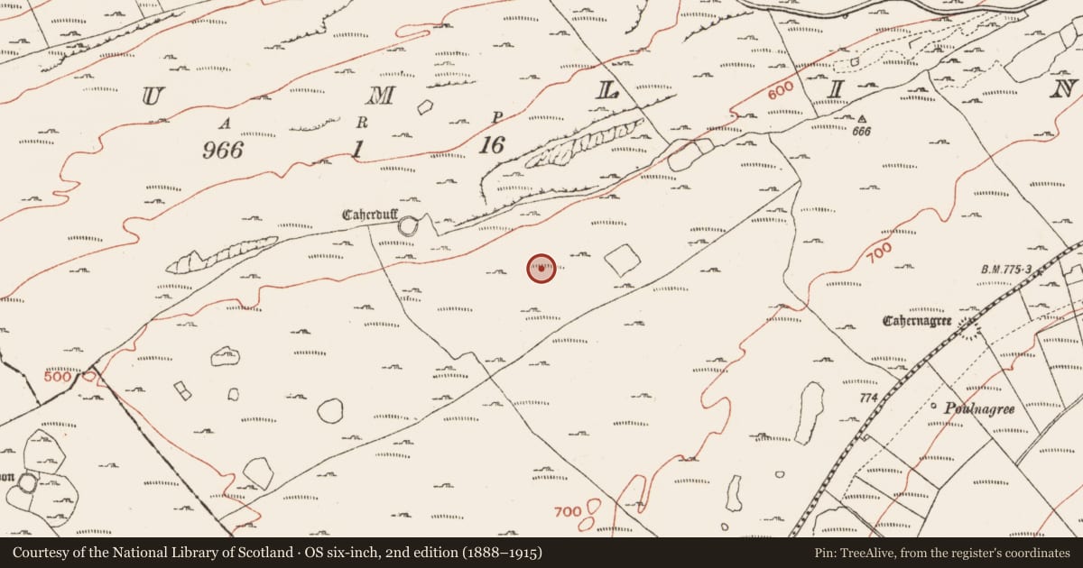 Ordnance Survey six-inch map, 2nd edition (1888–1915) covering the location of Enclosure, Crumlin, County Clare, with a pin at the register's coordinates