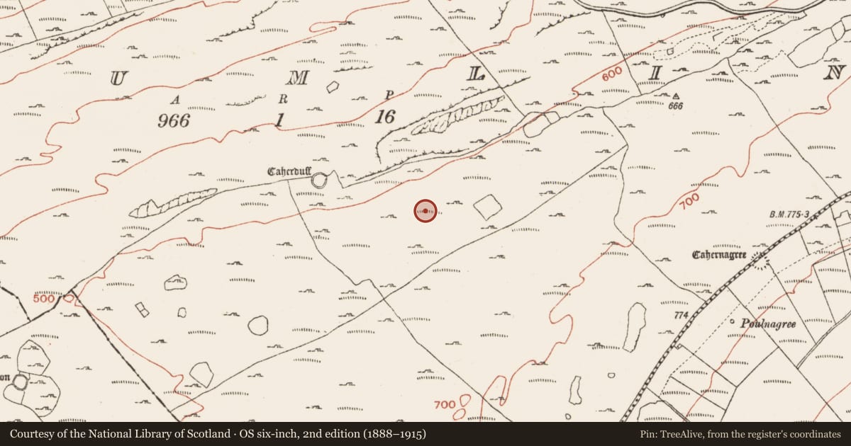Ordnance Survey six-inch map, 2nd edition (1888–1915) covering the location of Booley hut, Crumlin, County Clare, with a pin at the register's coordinates