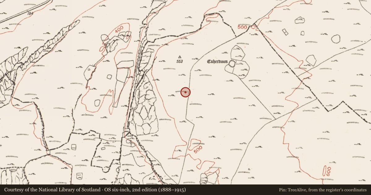 Ordnance Survey six-inch map, 2nd edition (1888–1915) covering the location of Enclosure, Ballynahown, County Clare, with a pin at the register's coordinates