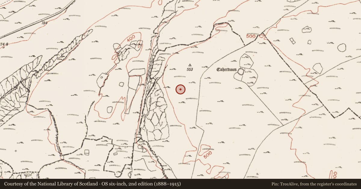 Ordnance Survey six-inch map, 2nd edition (1888–1915) covering the location of Enclosure, Ballynahown, County Clare, with a pin at the register's coordinates