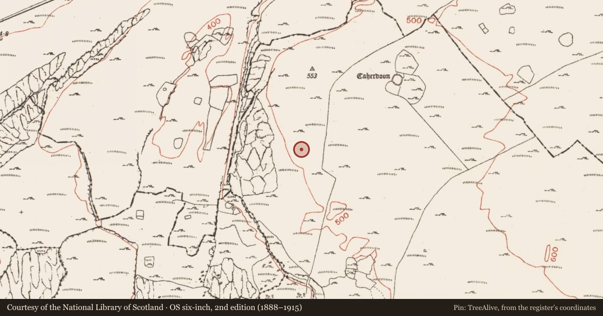 Ordnance Survey six-inch map, 2nd edition (1888–1915) covering the location of Enclosure, Ballynahown, County Clare, with a pin at the register's coordinates