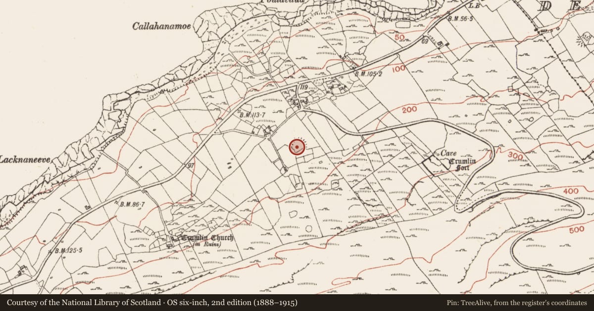 Ordnance Survey six-inch map, 2nd edition (1888–1915) covering the location of Ringfort - cashel, Crumlin, County Clare, with a pin at the register's coordinates