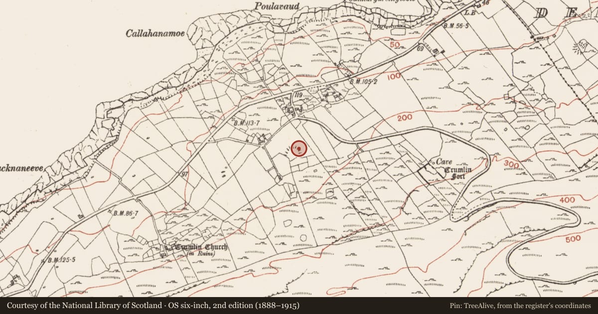 Ordnance Survey six-inch map, 2nd edition (1888–1915) covering the location of Hut site, Crumlin, County Clare, with a pin at the register's coordinates
