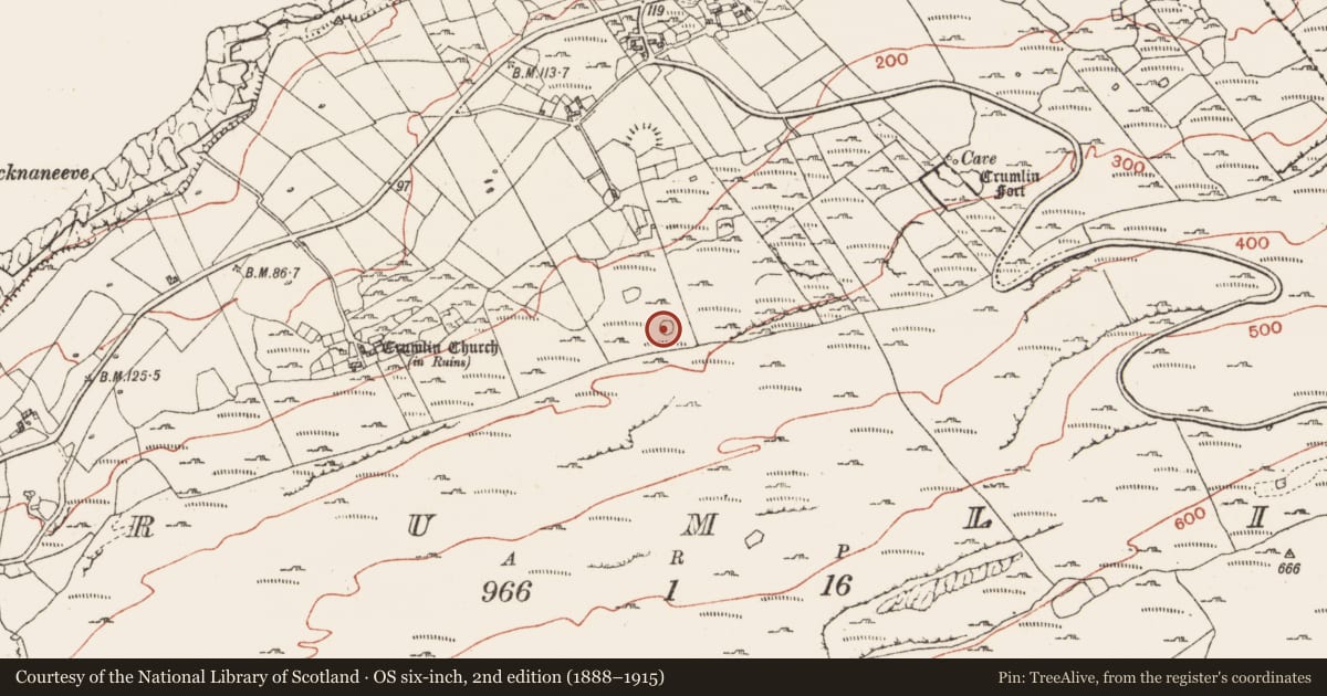 Ordnance Survey six-inch map, 2nd edition (1888–1915) covering the location of Ringfort - cashel, Crumlin, County Clare, with a pin at the register's coordinates