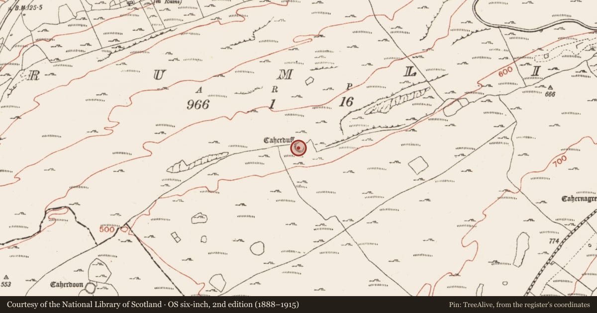 Ordnance Survey six-inch map, 2nd edition (1888–1915) covering the location of Ringfort - cashel, Crumlin, County Clare, with a pin at the register's coordinates
