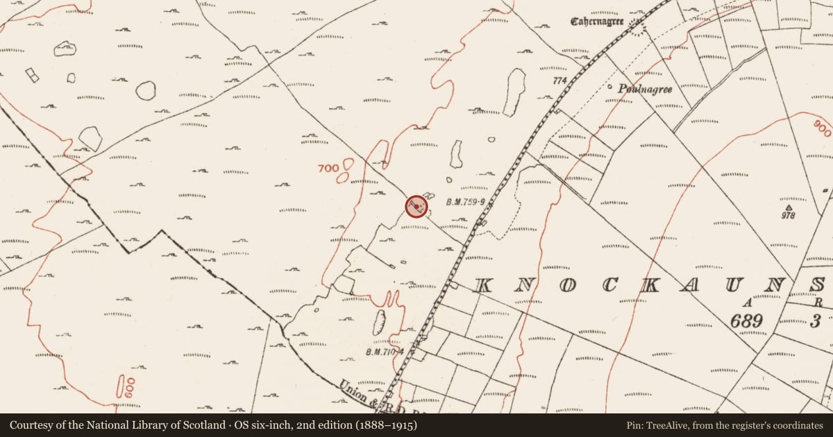 Ordnance Survey six-inch map, 2nd edition (1888–1915) covering the location of Ringfort - cashel, Crumlin, County Clare, with a pin at the register's coordinates