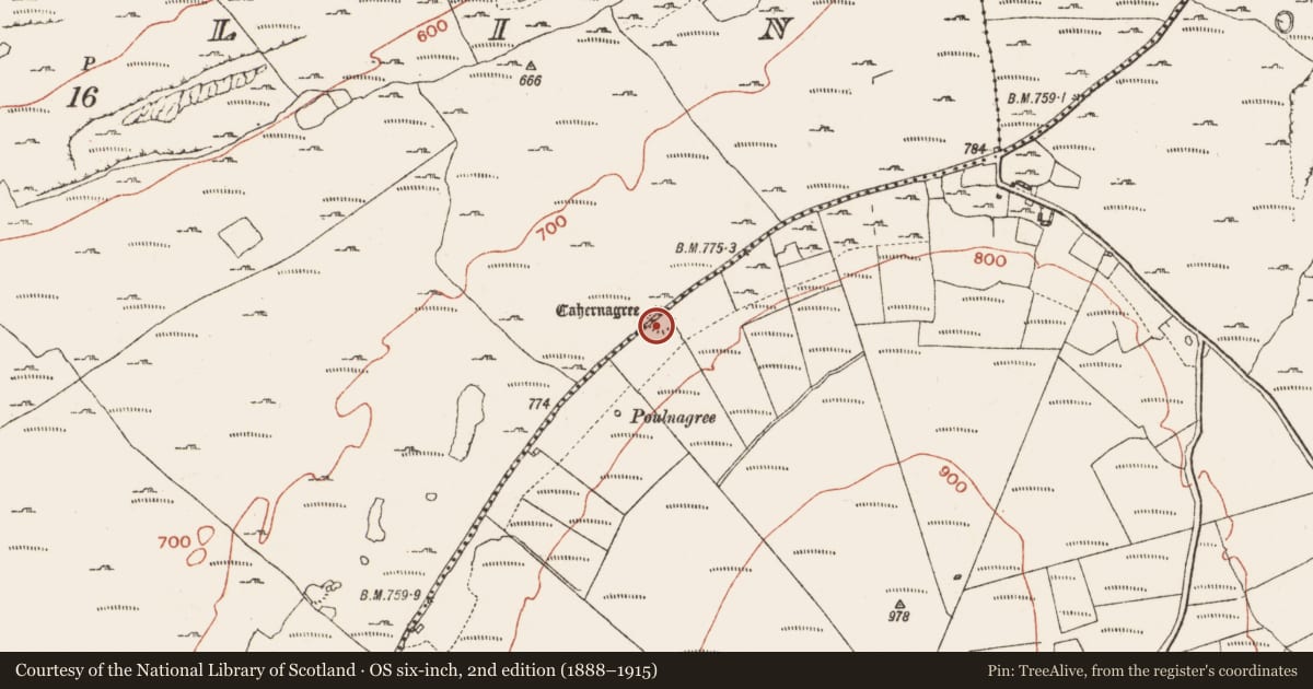 Ordnance Survey six-inch map, 2nd edition (1888–1915) covering the location of Ringfort - cashel, Crumlin, Knockauns Mountain, County Clare, with a pin at the register's coordinates
