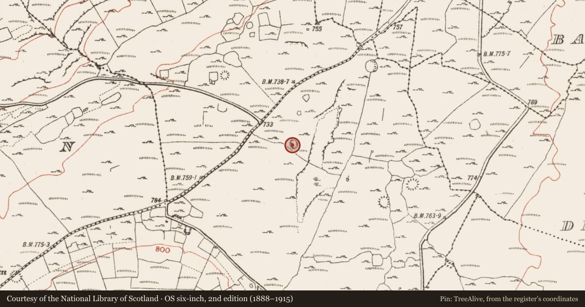 Ordnance Survey six-inch map, 2nd edition (1888–1915) covering the location of Ringfort - cashel, Knockauns Mountain, County Clare, with a pin at the register's coordinates