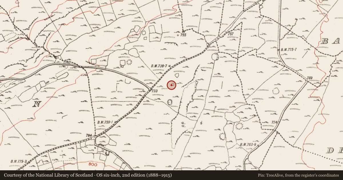 Ordnance Survey six-inch map, 2nd edition (1888–1915) covering the location of Enclosure, Knockauns Mountain, County Clare, with a pin at the register's coordinates