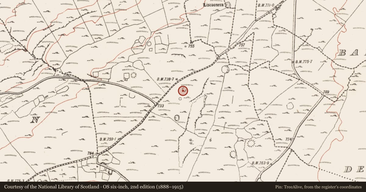 Ordnance Survey six-inch map, 2nd edition (1888–1915) covering the location of Ringfort - cashel, Knockauns Mountain, County Clare, with a pin at the register's coordinates