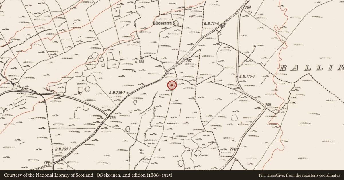 Ordnance Survey six-inch map, 2nd edition (1888–1915) covering the location of Ringfort - cashel, Knockauns Mountain, County Clare, with a pin at the register's coordinates