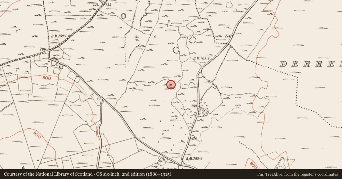 Ordnance Survey six-inch map, 2nd edition (1888–1915) covering the location of Enclosure, Knockauns Mountain, County Clare, with a pin at the register's coordinates