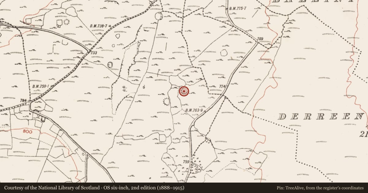 Ordnance Survey six-inch map, 2nd edition (1888–1915) covering the location of Ringfort - cashel, Knockauns Mountain, County Clare, with a pin at the register's coordinates