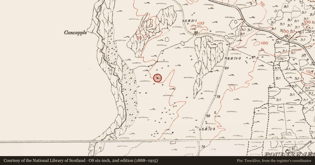 Ordnance Survey six-inch map, 2nd edition (1888–1915) covering the location of Enclosure, Ballyryan, County Clare, with a pin at the register's coordinates