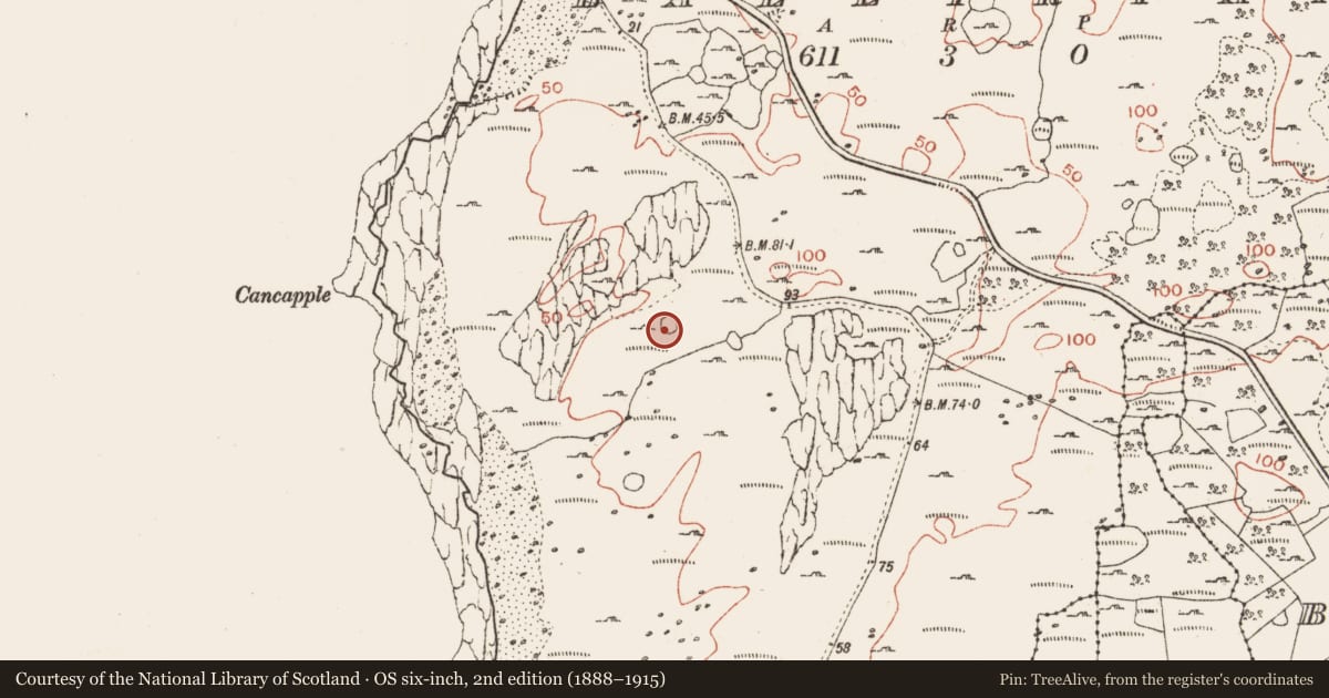 Ordnance Survey six-inch map, 2nd edition (1888–1915) covering the location of Ringfort - cashel, Ballyryan, County Clare, with a pin at the register's coordinates